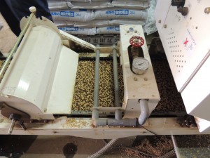 宮本農産種まき 004